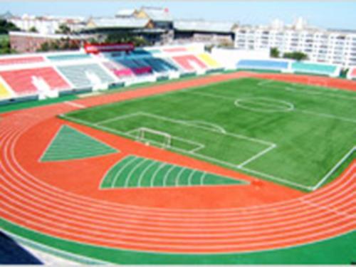 講述維護(hù)人造草坪的方式